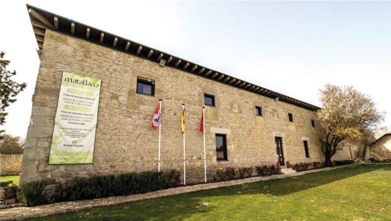 CIN Matallana Visita guiada al Monasterio