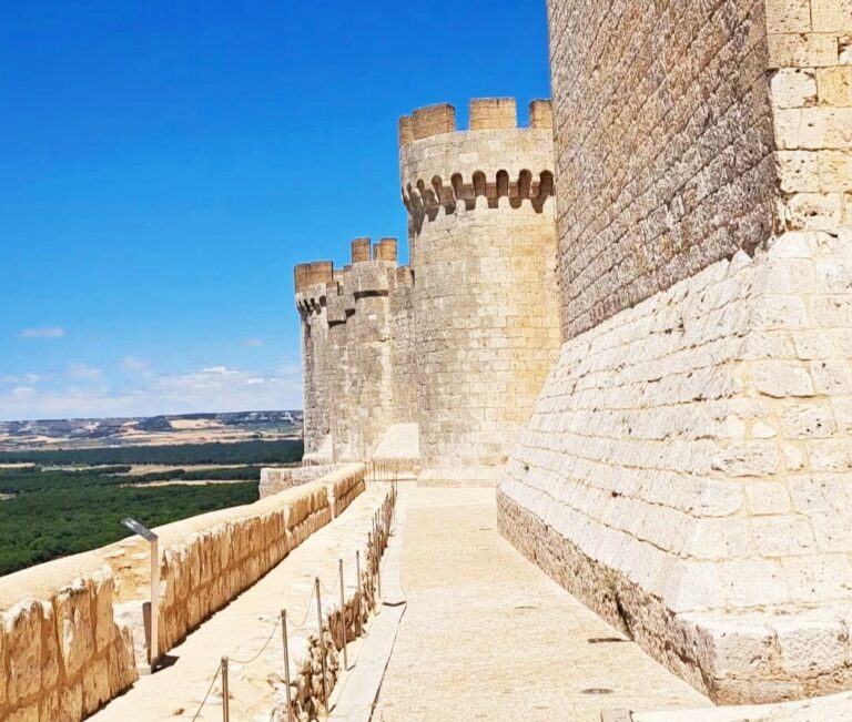 Visita libre al Museo y recorrido guiado por el Castillo de Peñafiel