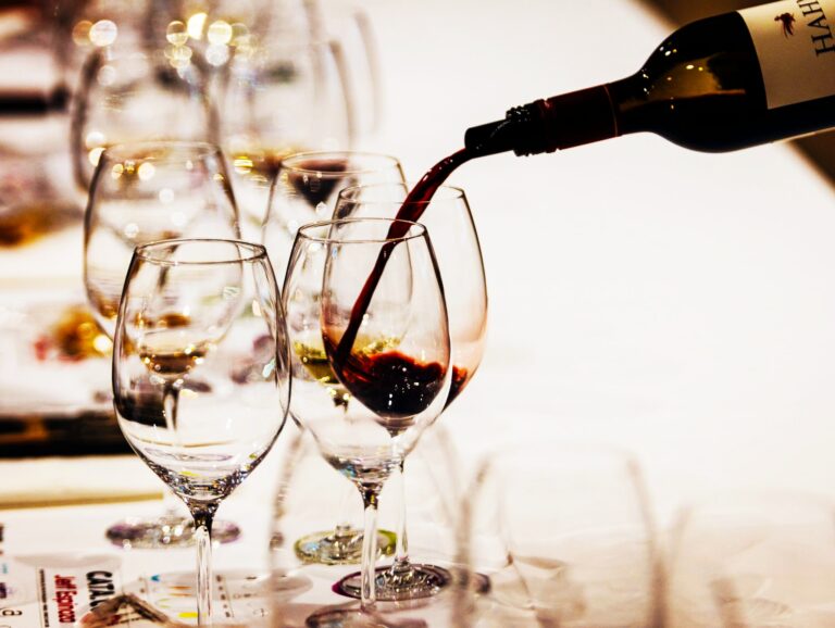 Cata de vino, visita al Castillo y Museo